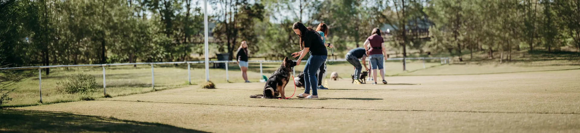 Dog trainer certification course