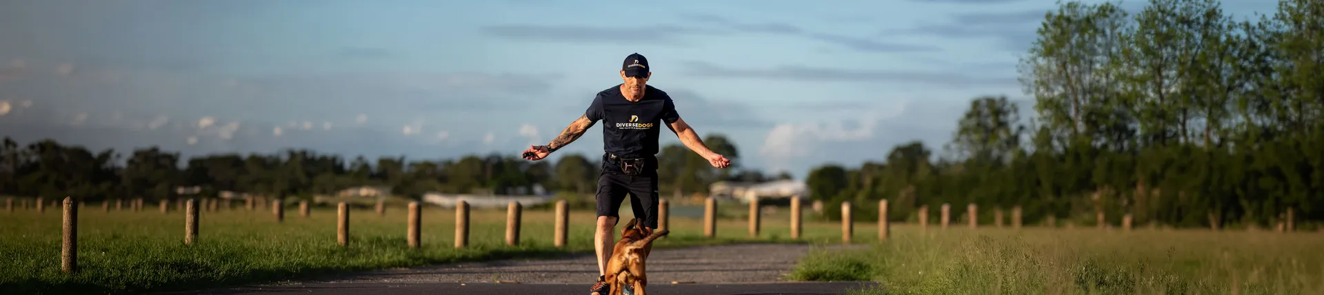 Diverse Dogs Day Out
